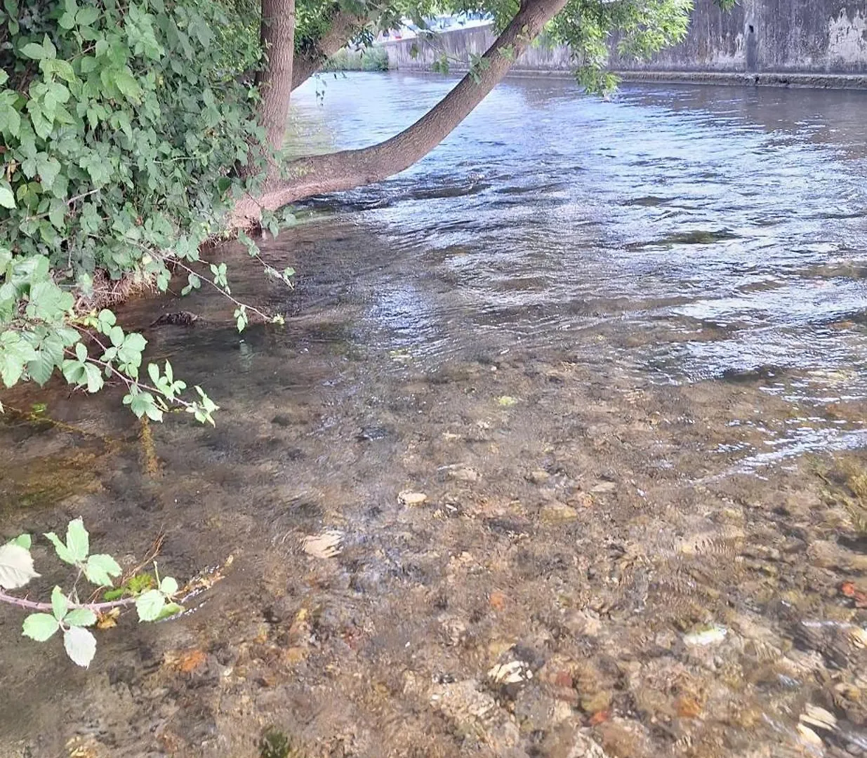 La 54 Provence Villa L'Isle-sur-la-Sorgue 0*,