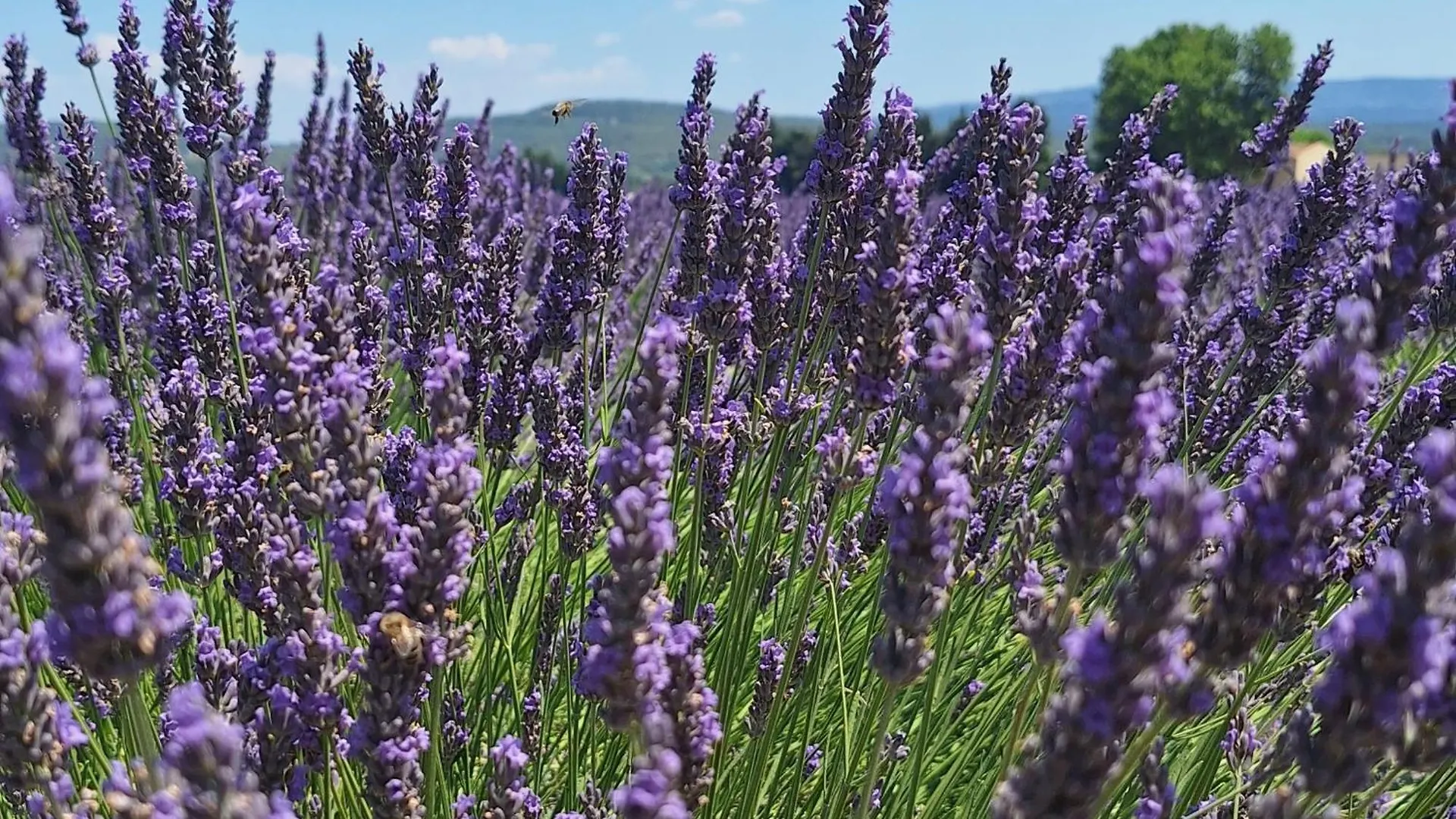 فيلا La 54 Provence LʼIsle-sur-la-Sorgue